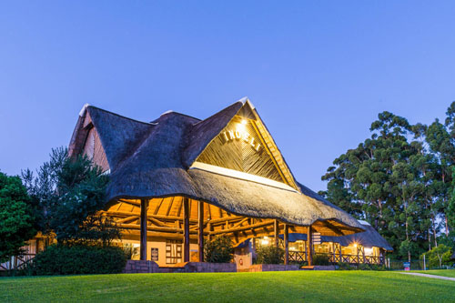 ANEW Resort Ingeli Forest